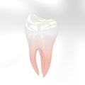 Advanced Solutions for Gum Health and Dental Implants in Kilchberg